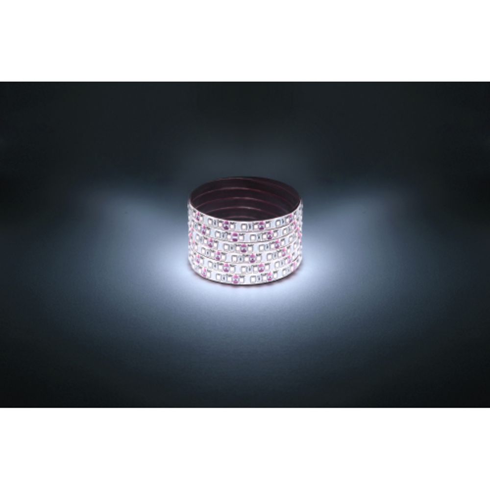 Светодиодная лента ЭРА LS2835 -9,6-120-12-6500K-IP65-1 year-5m