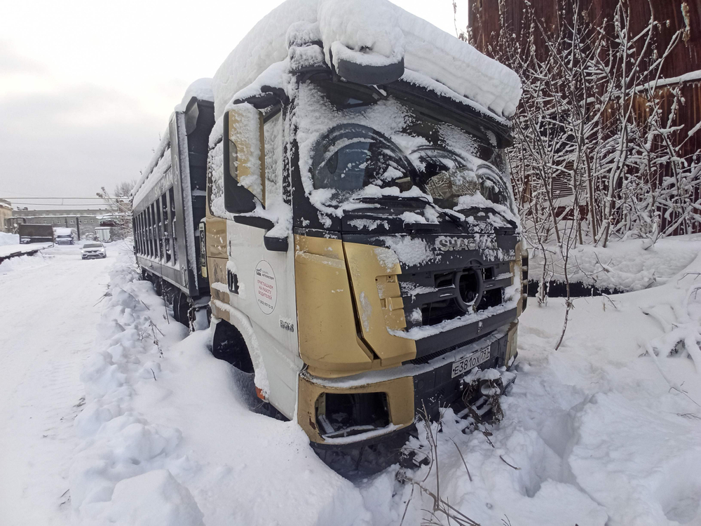 Shacman (Shaanxi) SX* 8x4 Самосвал SX33186T366 (Дизельный, 11,6 л, 375 л.с., МТ)