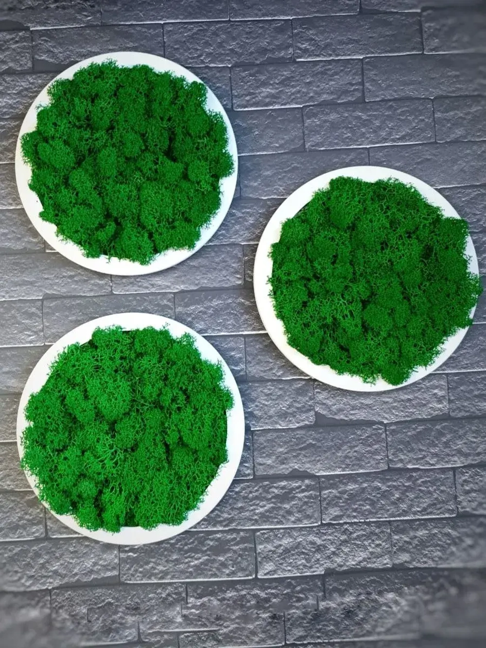 Круглое панно на стену из мха набор 3 шт.