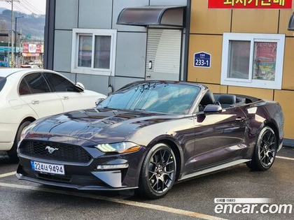 Ford Mustang Convertible (10.2022)