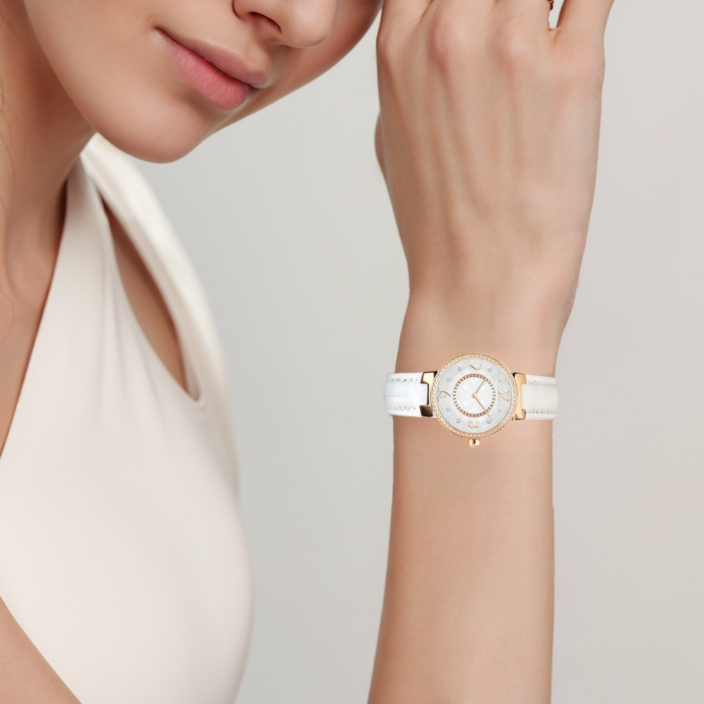 LOUIS VUITTON Wrist Watch Automatic Mechanical Movement Crocodile Leather Strap 28mm Silver Dial Women"s Watch