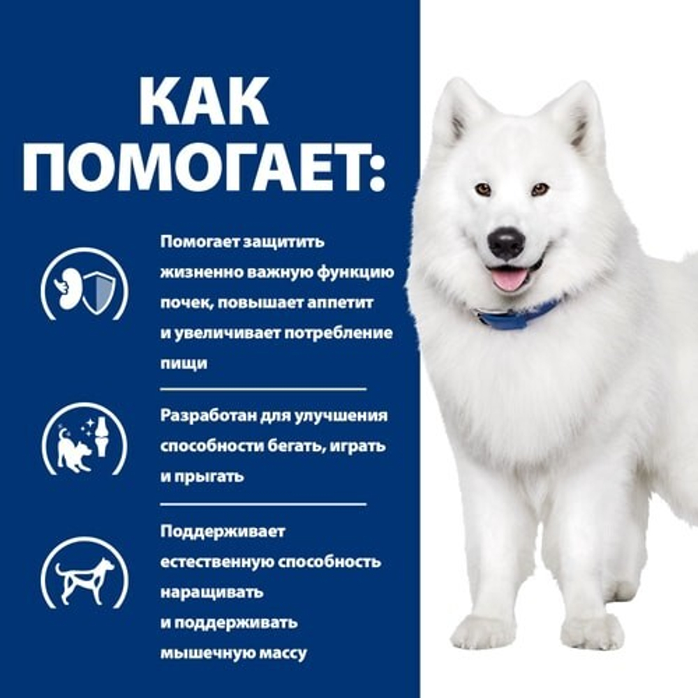 Hill's Canine k/d+mobility 12 кг - диета для собак с проблемами почек и заболеваниями суставов 10746N