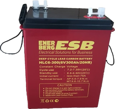 Тяговая аккумуляторная батарея ESB HLC6-300