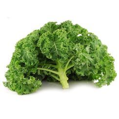 Винтербор F1 семена капусты листовой (Seminis / Семинис)