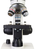 Микроскоп Levenhuk Discovery Femto Polar