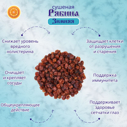 Рябина красная 500 гр. Алтайская "Зимняя" ягода сушеная