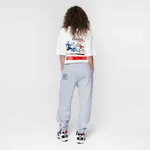 Спортивные штаны Dissident Sportive Goods серые