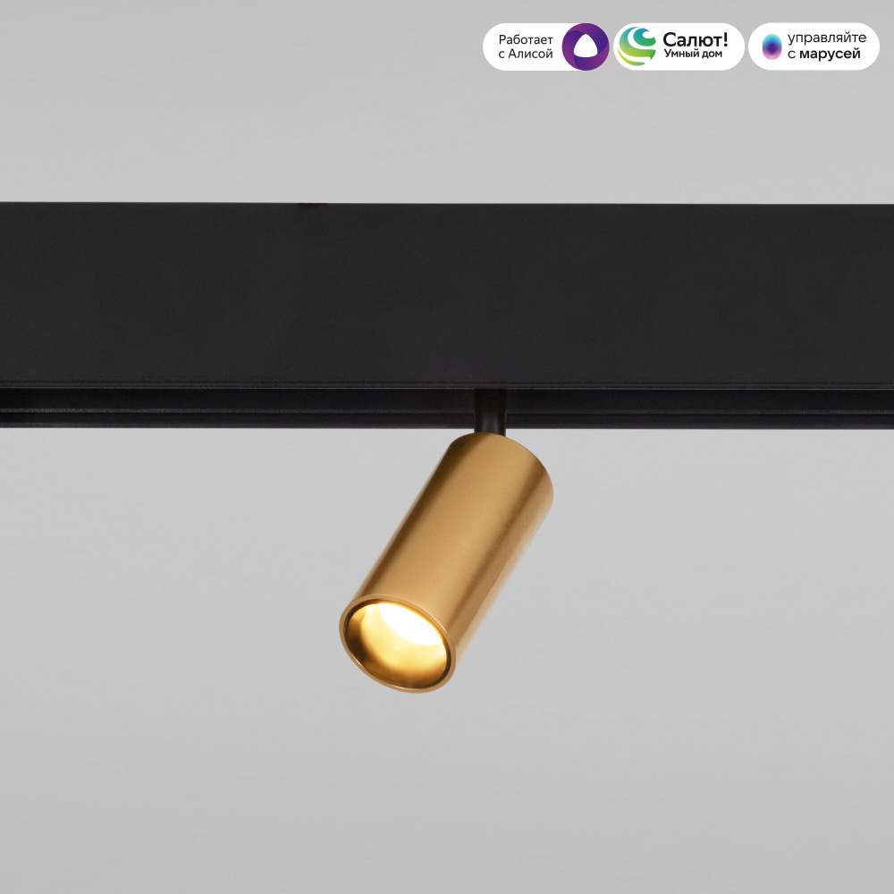 Slim Magnetic Умный трековый поворотный светильник 5W 2700-6500K Dim Cantors латунь 85071/01