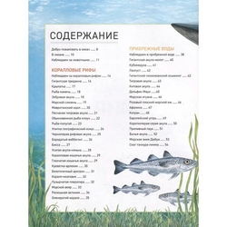 Подводный мир. Полная энциклопедия