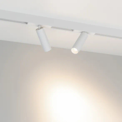 Светильник MAG-SPOT-25-R120-12W Day4000 (WH, 30 deg, 24V) (Arlight, IP20 Металл, 5 лет) 050076