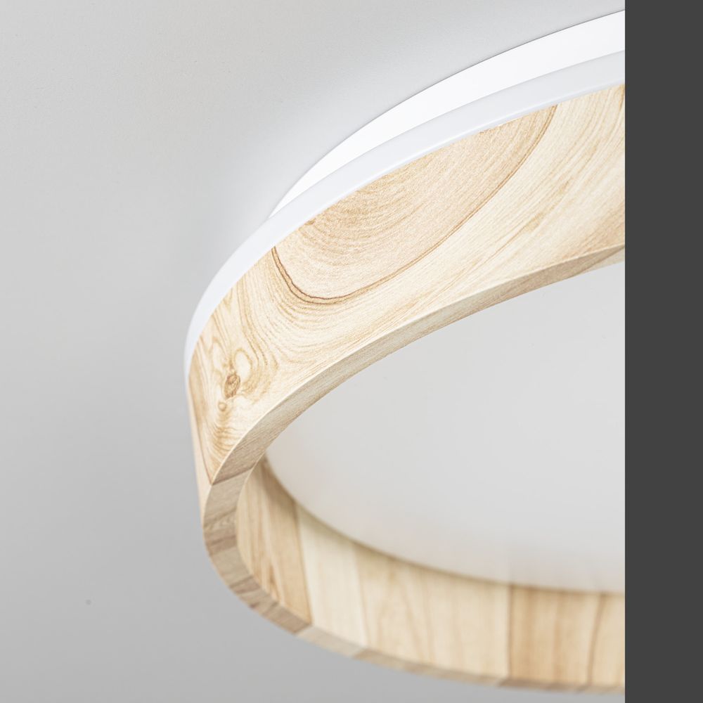 Citilux ENZO CL753352G LED RGB Светильник с пультом Клён