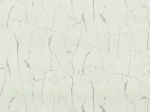 R 23307 Обои Fipar (Felicita) (1*4) 10,05х1,06 винил на флизелине