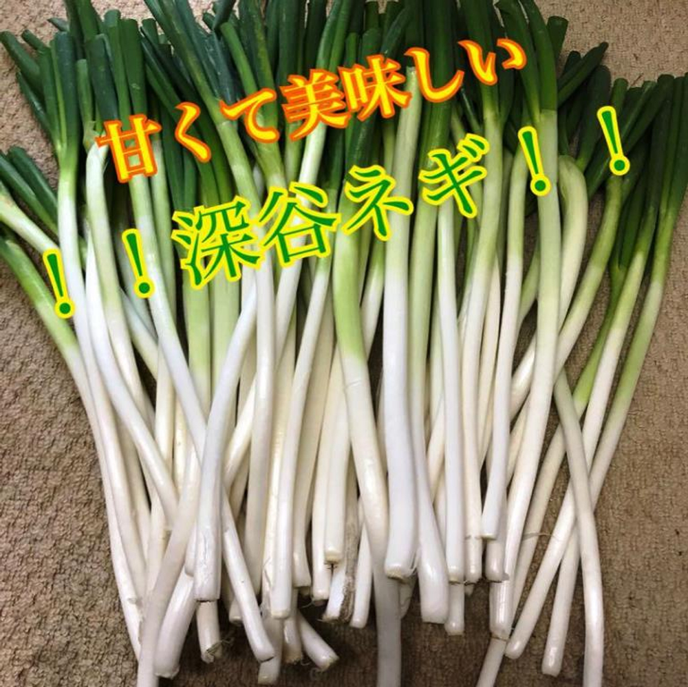 Зеленый Японский Лук Фукая - 深谷ねぎ