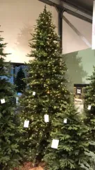 Ель Ирландская с лампочками 230 см., 408 LED ламп, литая хвоя+пвх, Black Box (74399)