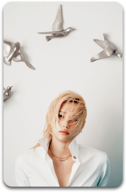 Карта / STRAY KIDS #5219