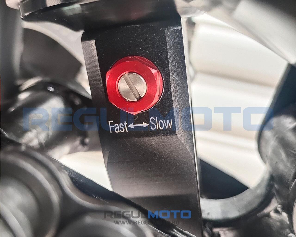 Мотоцикл Regulmoto ZR PR 300 4 valves 6 Gear