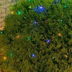 USL-S-128-PT9900 DEW Садовая гирлянда на солнечной батарее Роса. 100 светодиодов. Разноцветный свет. 1xАА Ni-Mh аккумулятор в-к. IP44. TM Uniel.