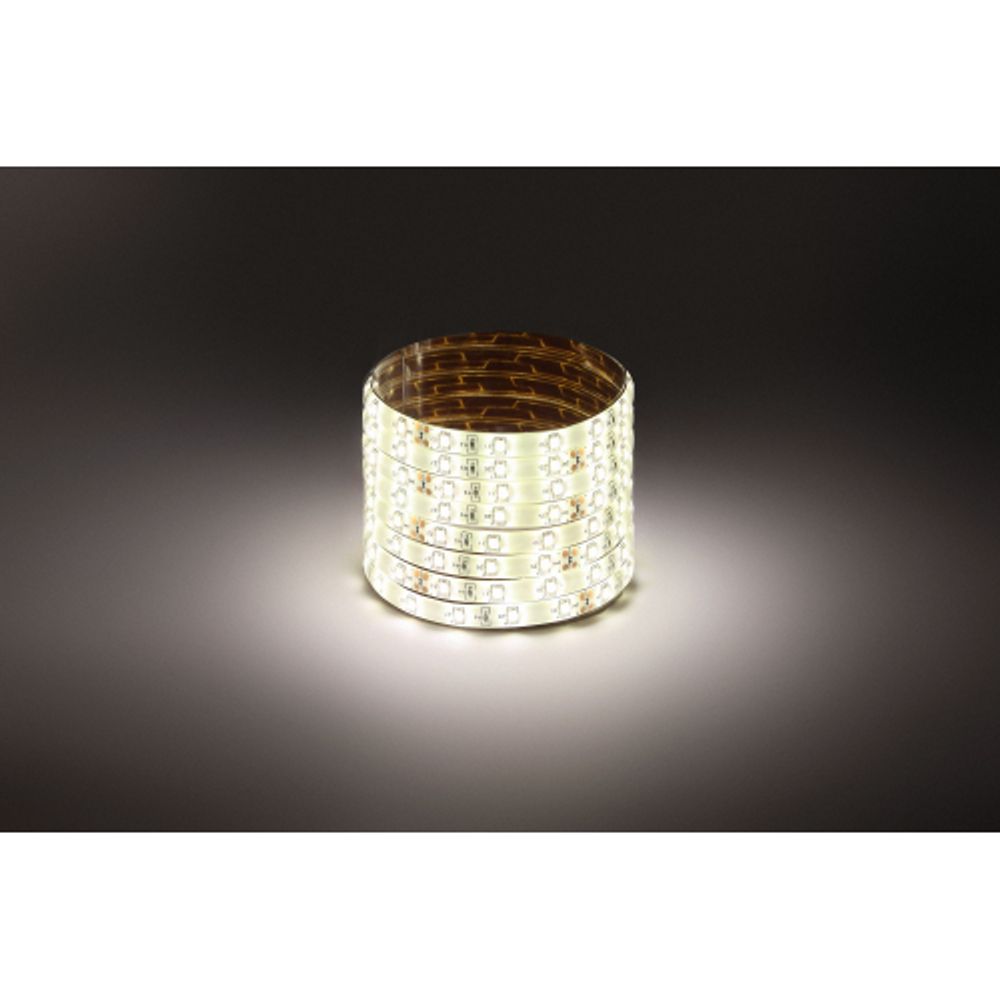 ЭРА Лента светодиодная LS2835-4,8-60-24-65-4000К-5m | Светодиодные ленты 24В 2 год