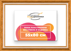Рама 55x80 для картин и фотографий