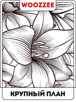 Наклейка декоративная А3 "Имитация гравюры, цветы"