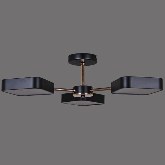 03360-0.3-03 BK+FGD светильник потолочный