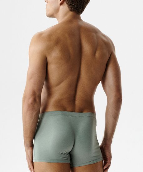 Трусы мужские боксеры (2шт), Atlantic 2RMH-007, хлопок, светло-зеленый + графитовый