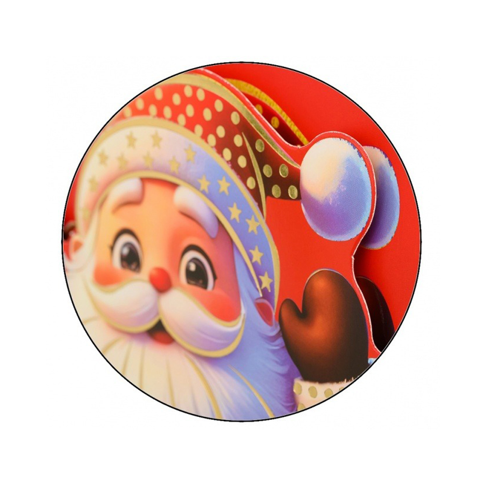 Подарочный пакет Basir, серия "Дед мороз", с объемным рисунком, 26*32*10 см, ассорти