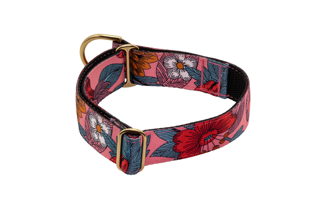 Широкий_ошейник_с_оригинальным_узором