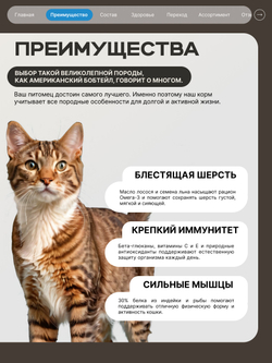 Корм сухой для взрослых кошек породы Американский бобтейл, с лососем, 400 гр, QUATTRO