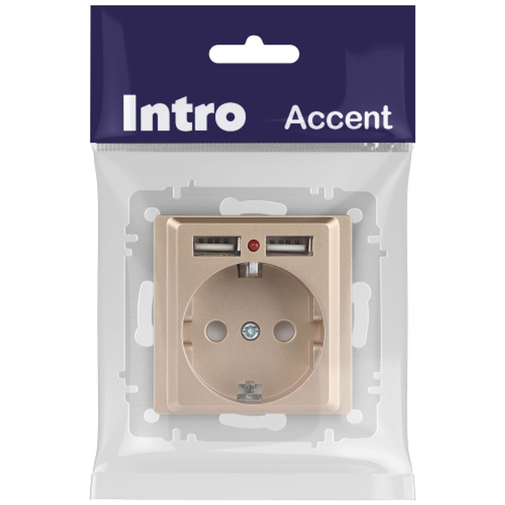 Розетка Intro Accent 6-410-04 с заземлением 2P+E Schuko со шторками 16А-250В + 2хUSB IP20 СУ шампань | Intro