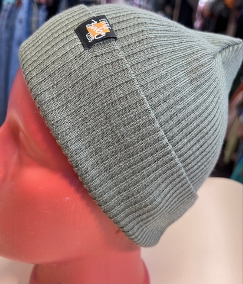 Шапка демисезонная для мальчика