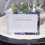 Подарочный сертификат