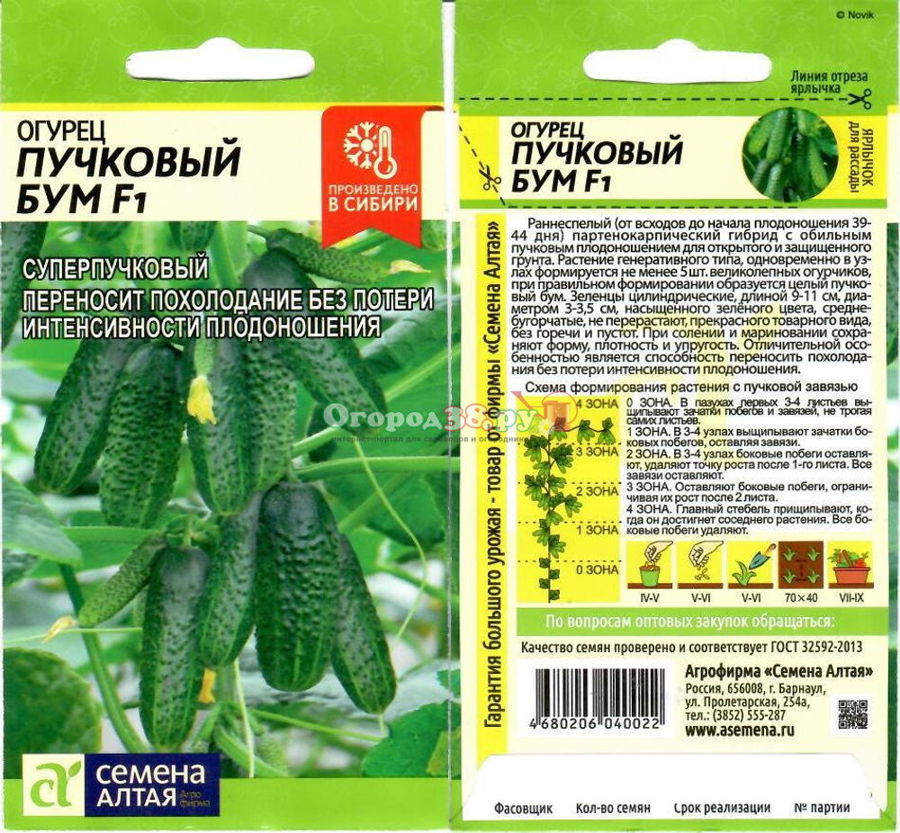 Огурец Пучковый Бум Семена Алтая