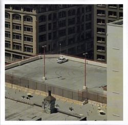 Arctic Monkeys. The Car (LP)