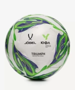 Мяч футбольный Triumph Elite YFL №5