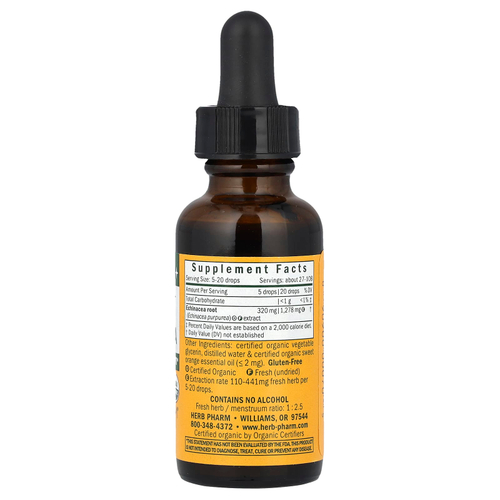 Herb Pharm, эхинацея для детей, без спирта, с апельсиновым вкусом, 30 мл