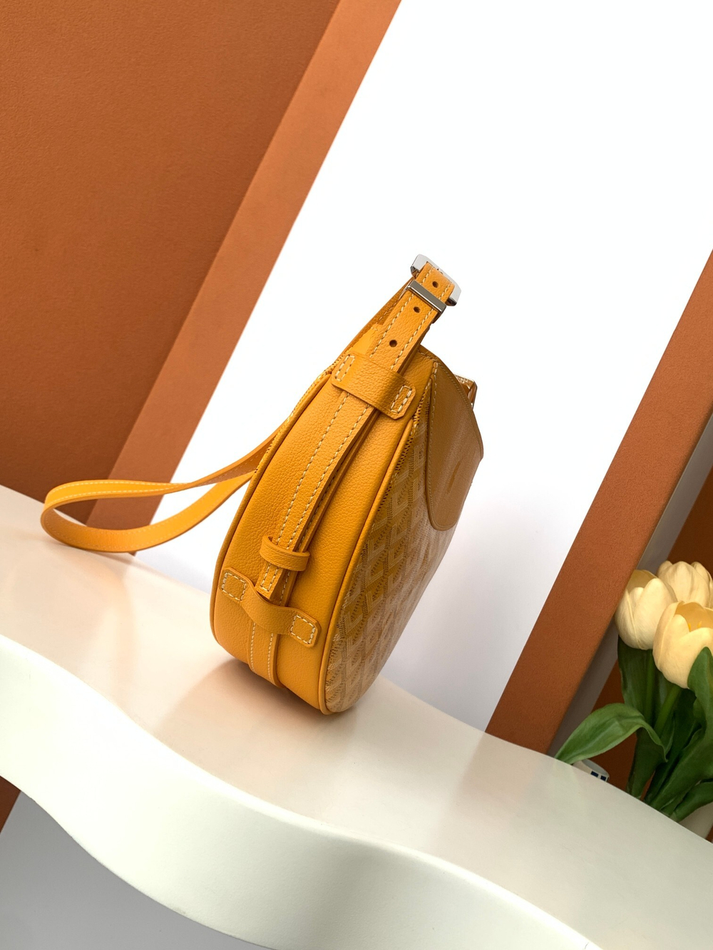 Goyard Hirondelle Bag (11 colors)