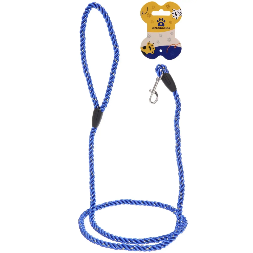 Поводок нейлоновый с карабином «Бро на прогулке», цвет синий, 1.3метра