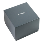 Мужские наручные часы Timex TW5M59600
