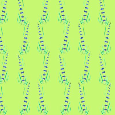 Лаванда на салатовом фоне