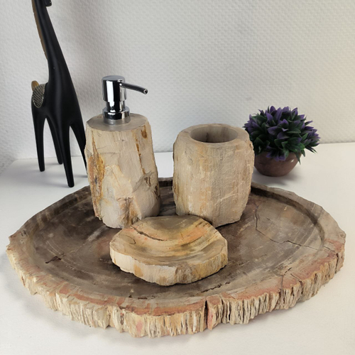 Набор из окаменелого дерева 4 предм Fossil Set NF-63065 поднос 30см*42см