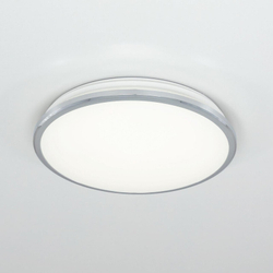 Накладной светильник Citilux CL702221N