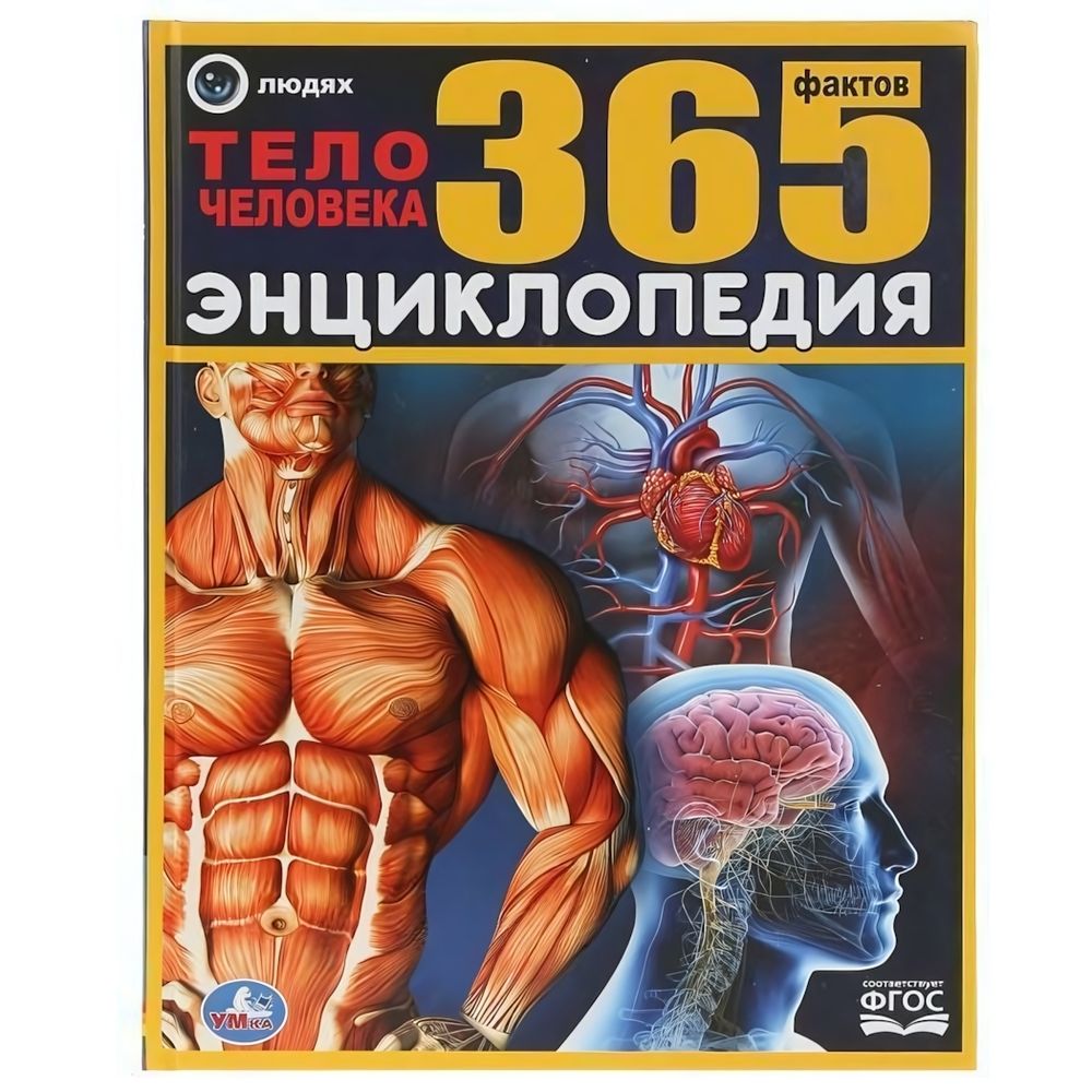 Энциклопедия А4 &quot;365 фактов. Тело человека&quot; тв. переп. коробка 978-5-506-03487-2 (Умка)