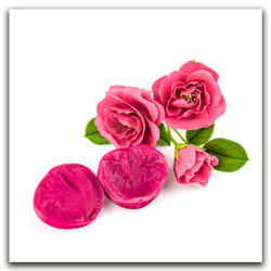 Комплект для лепки махровых шиповников