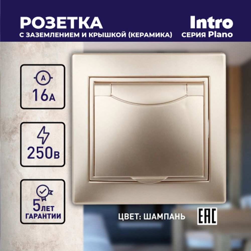 1-203-04 Intro Розетка 2P+E Schuko с крышкой, 16А-250В, IP20, СУ, Plano, шампань
