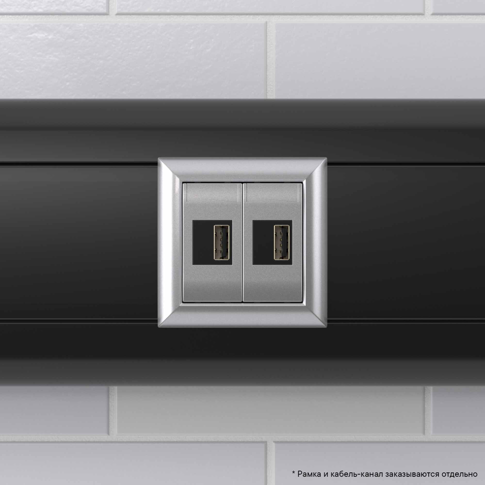 USB зарядное устройство модульное,  "Avanti", "Закаленная сталь", 2модуля