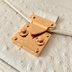 Louis Vuitton Pochette Metis East West
