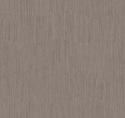 Сканди Дзен Дзен