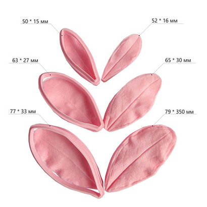 Незабудка листья