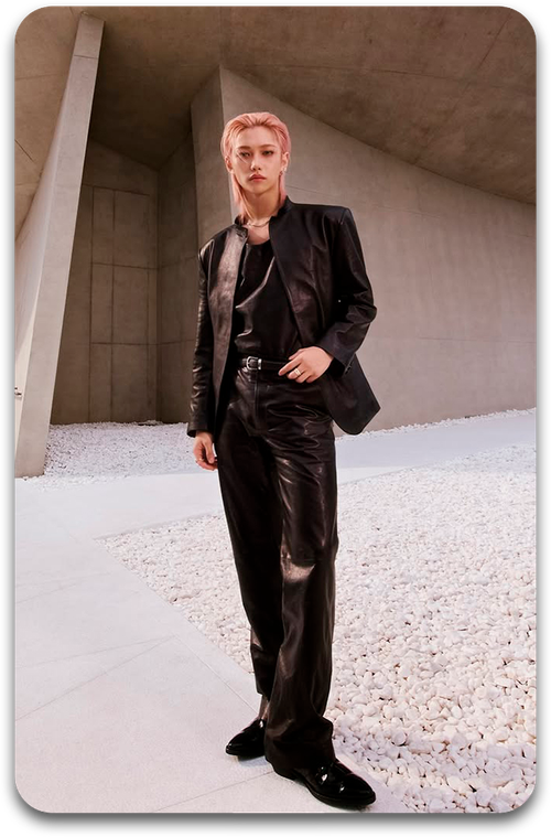 Карта / STRAY KIDS #4629